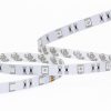 LED strip 5050 30S10 picture