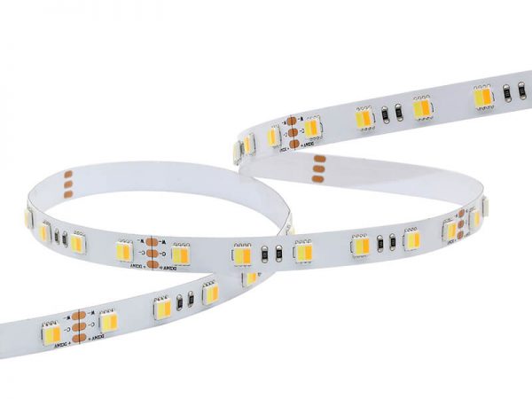 led strip 5050 60S10 2in1 dual white picture