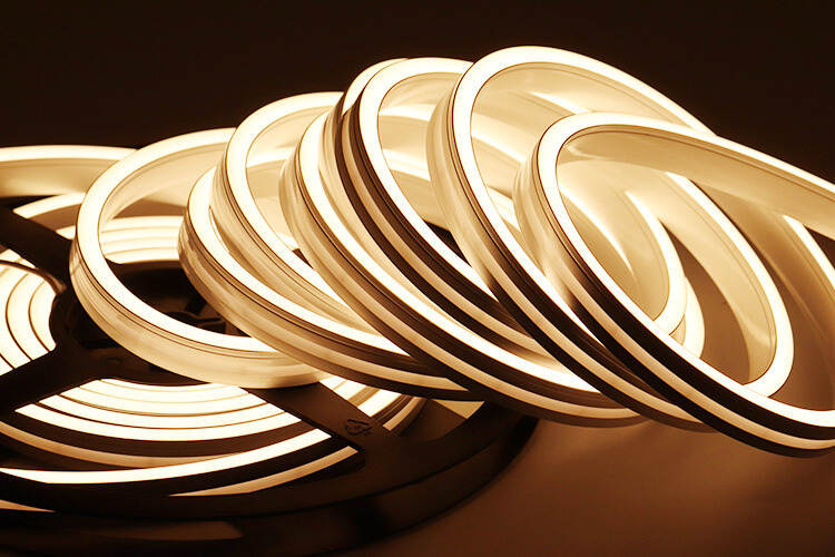 Neon Strip Light