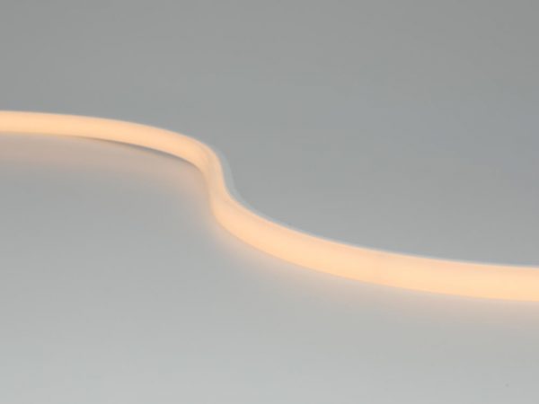 neon led felx 1010