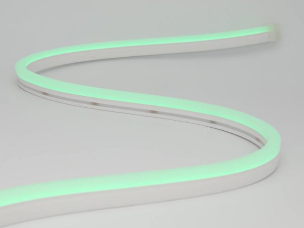 neon led flex 0816