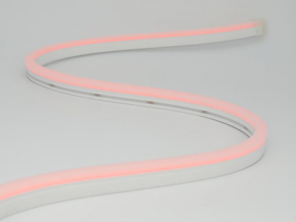 neon led flex 0816