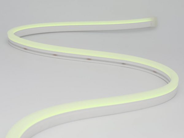 neon led flex 0816