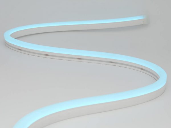 neon led flex 0816