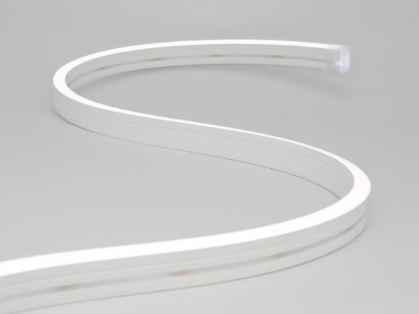 neon led flex 1018