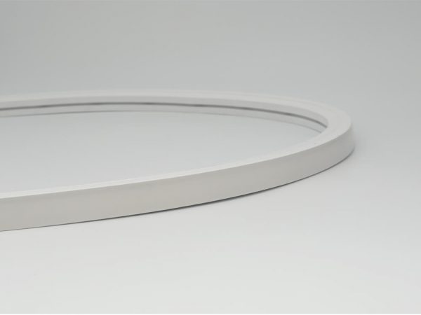 neon led flex 1616