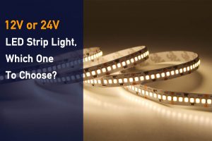 Comparison of 12v and 24v led strip lights