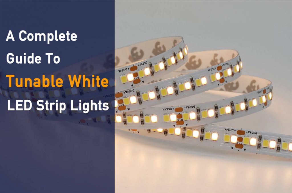 RGBW LED Strip Light, 5050 Color Changing and Cool White 6500K Light Strip